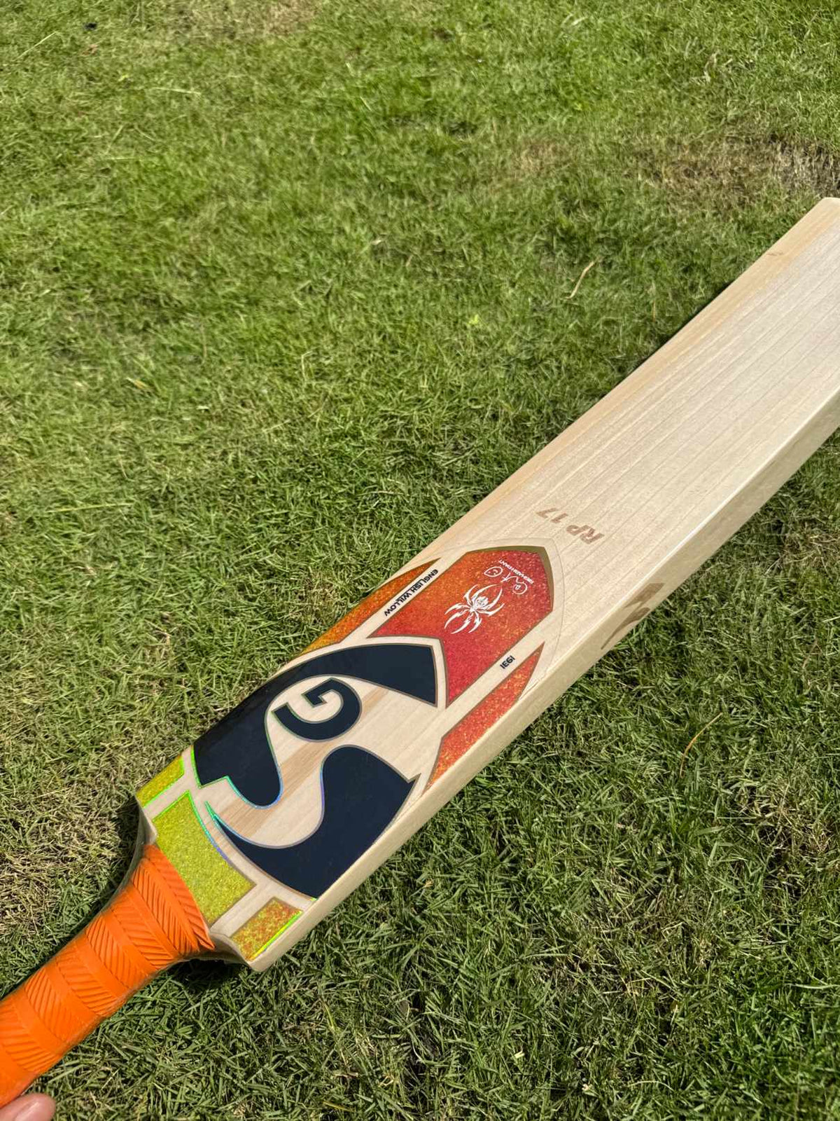SG RP17 Player Edition cricket bat view 6