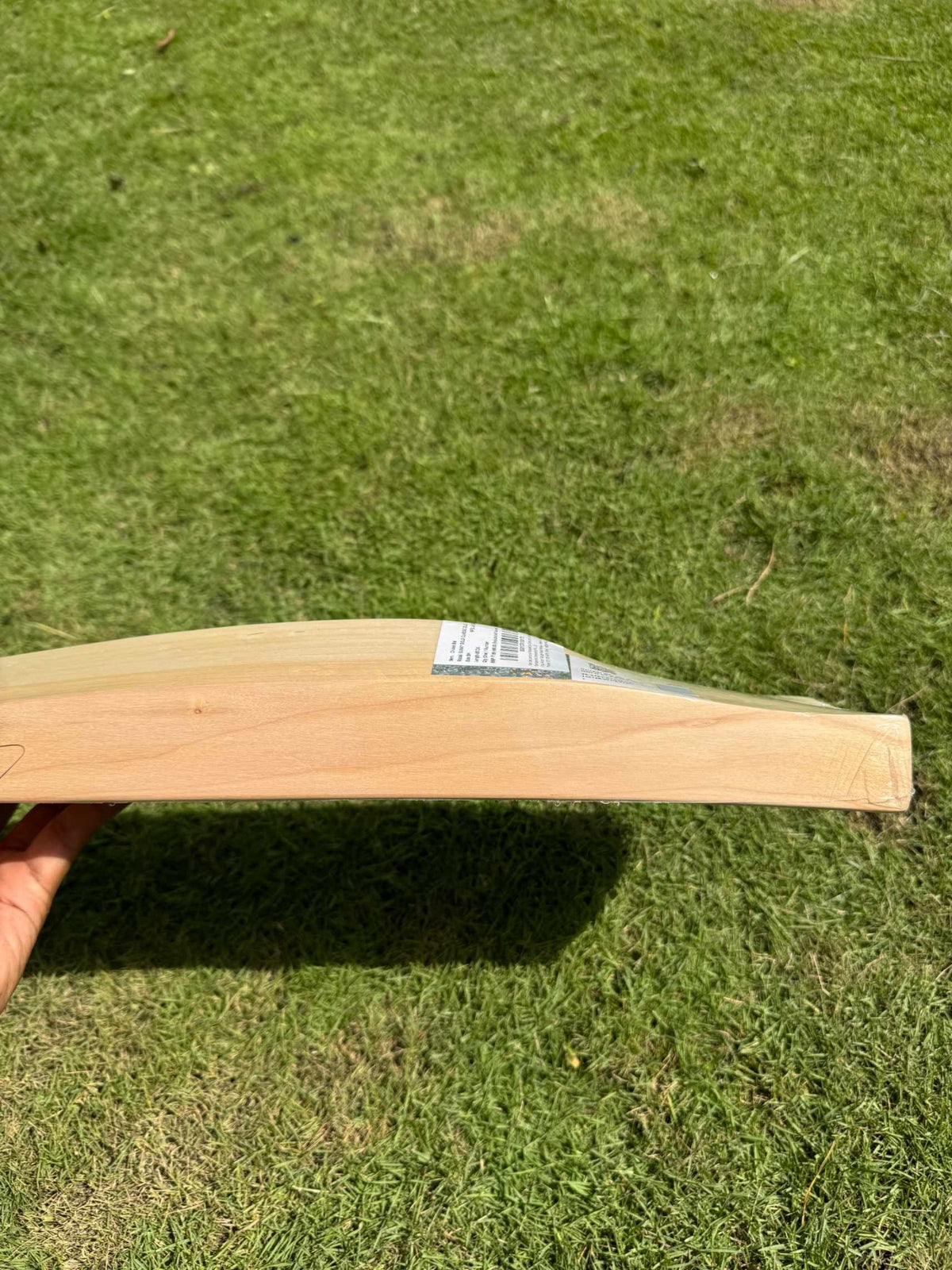 SG Sunny Gold OLE cricket bat view 8