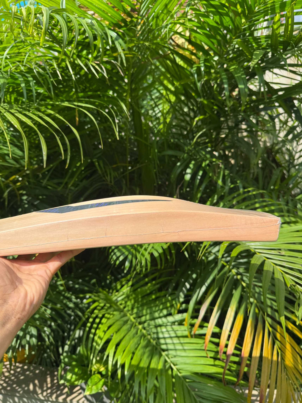 DSC David Miller Players Edition cricket bat edge