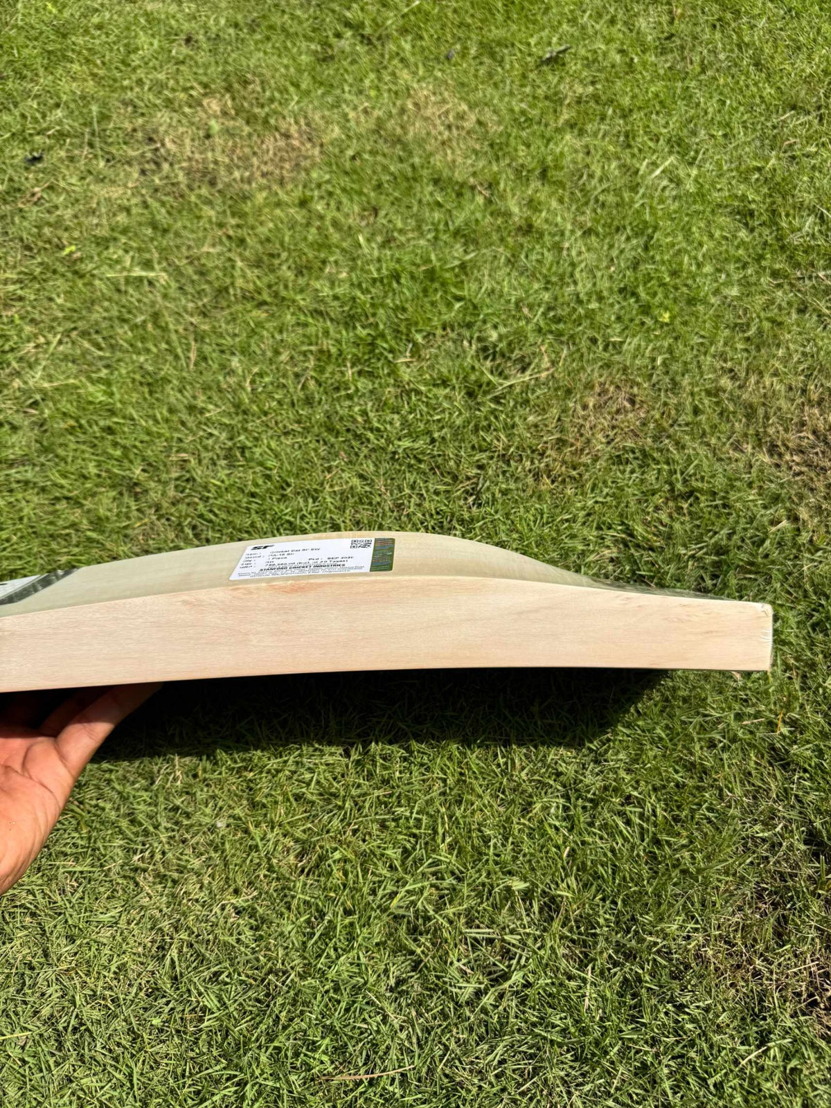 SF PA18 cricket bat grain detail
