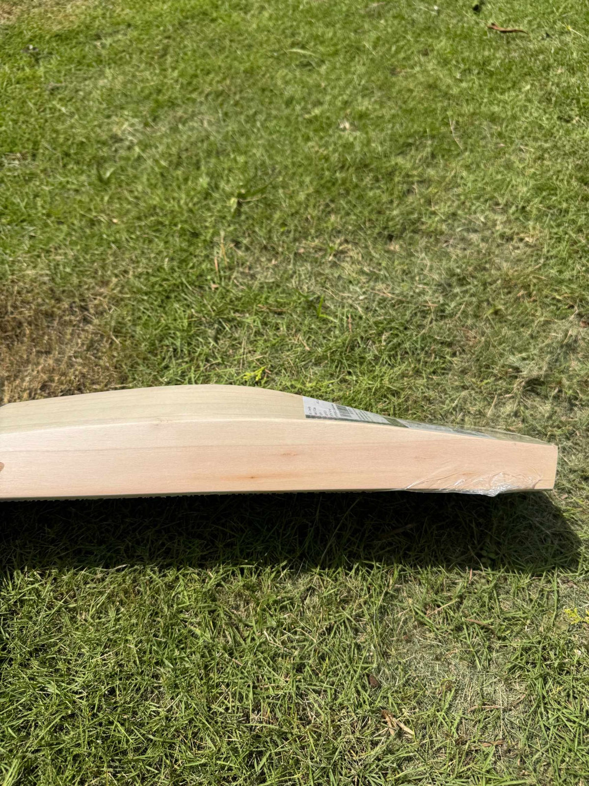 SG KLR Class cricket bat side profile