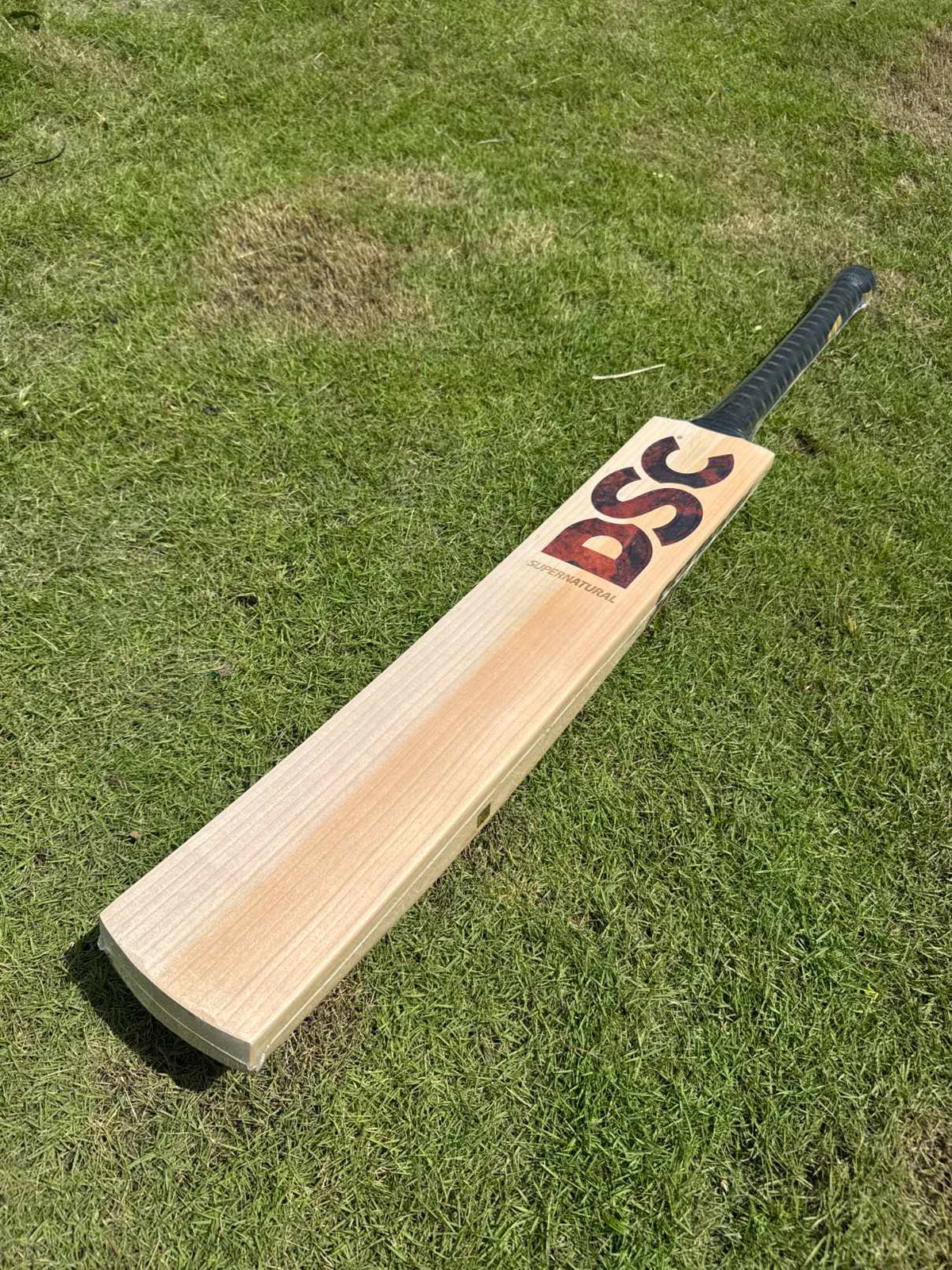 DSC Supernatural12 cricket bat – view 1