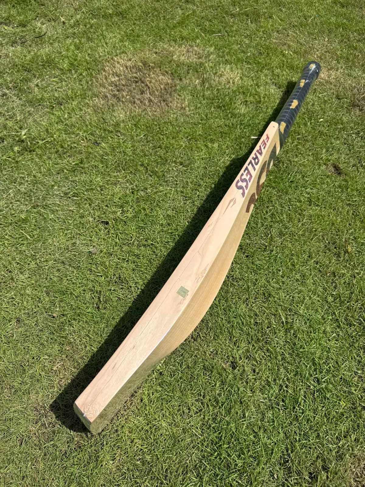 DSC Supernatural12 cricket bat – view 2