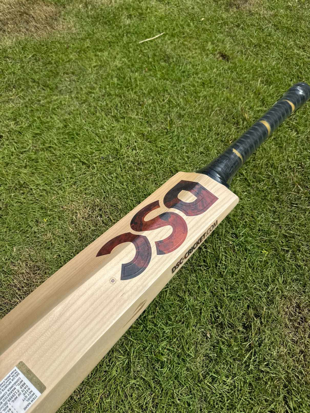 DSC Supernatural12 cricket bat – view 4