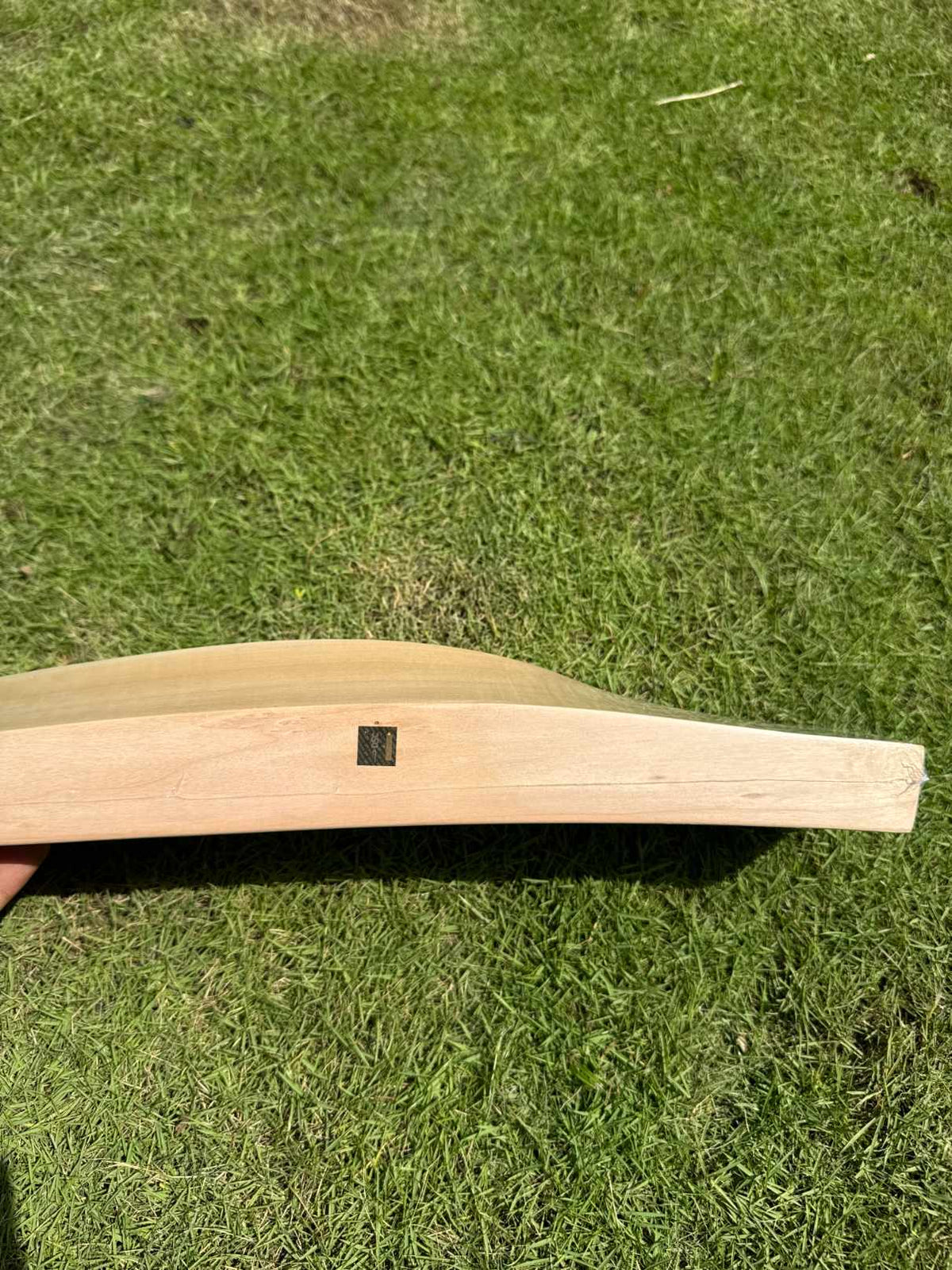 DSC Supernatural12 cricket bat – view 5