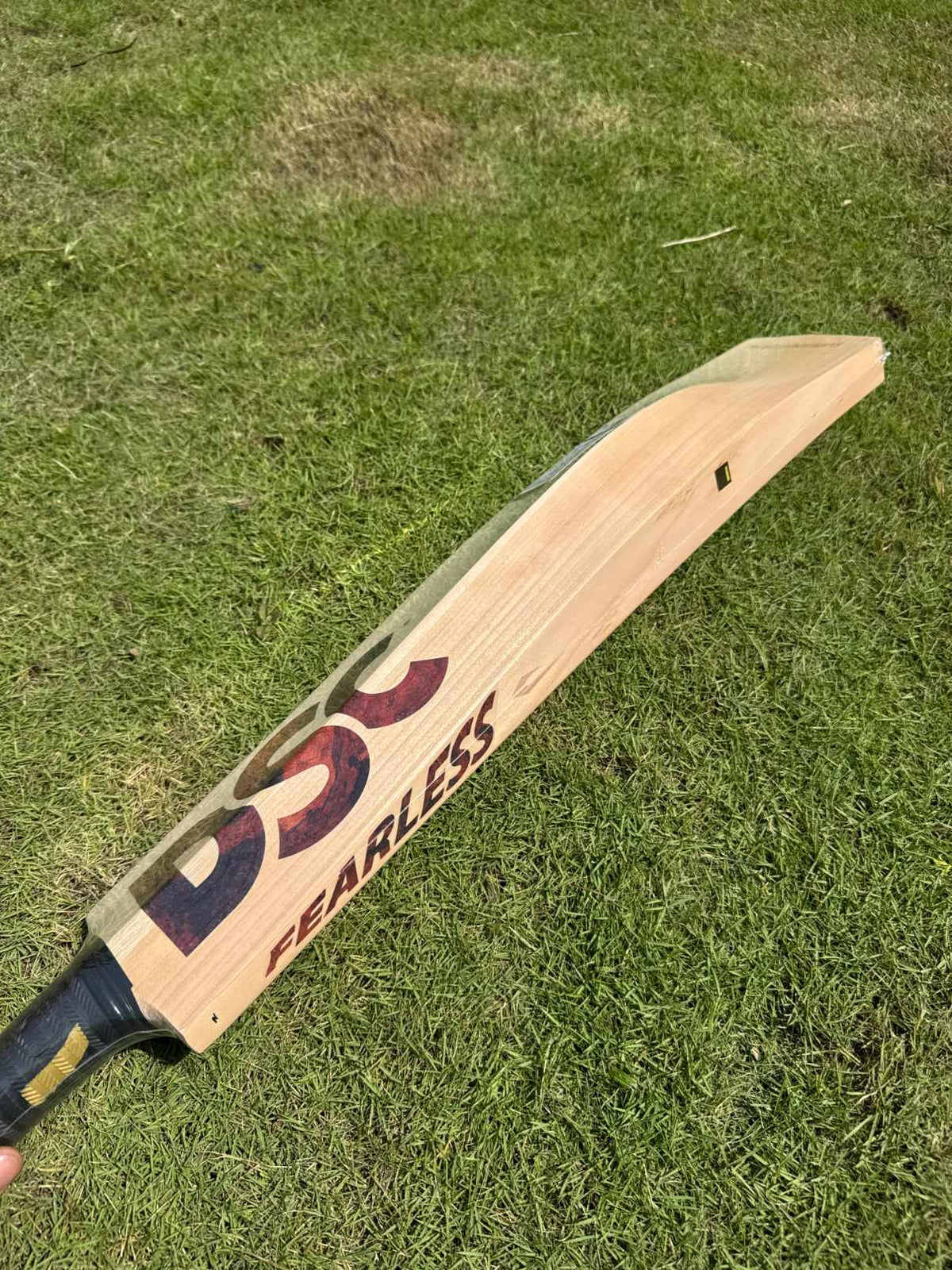 DSC Supernatural12 cricket bat – view 6
