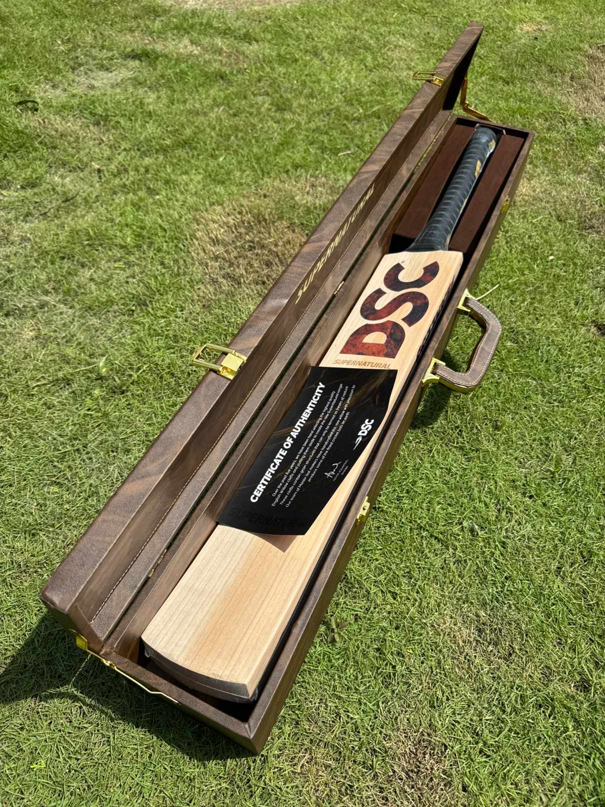 DSC Supernatural12 cricket bat – view 8