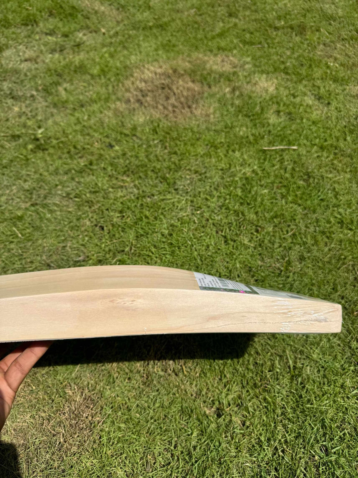 SG Dhruv Jurel cricket bat view 5
