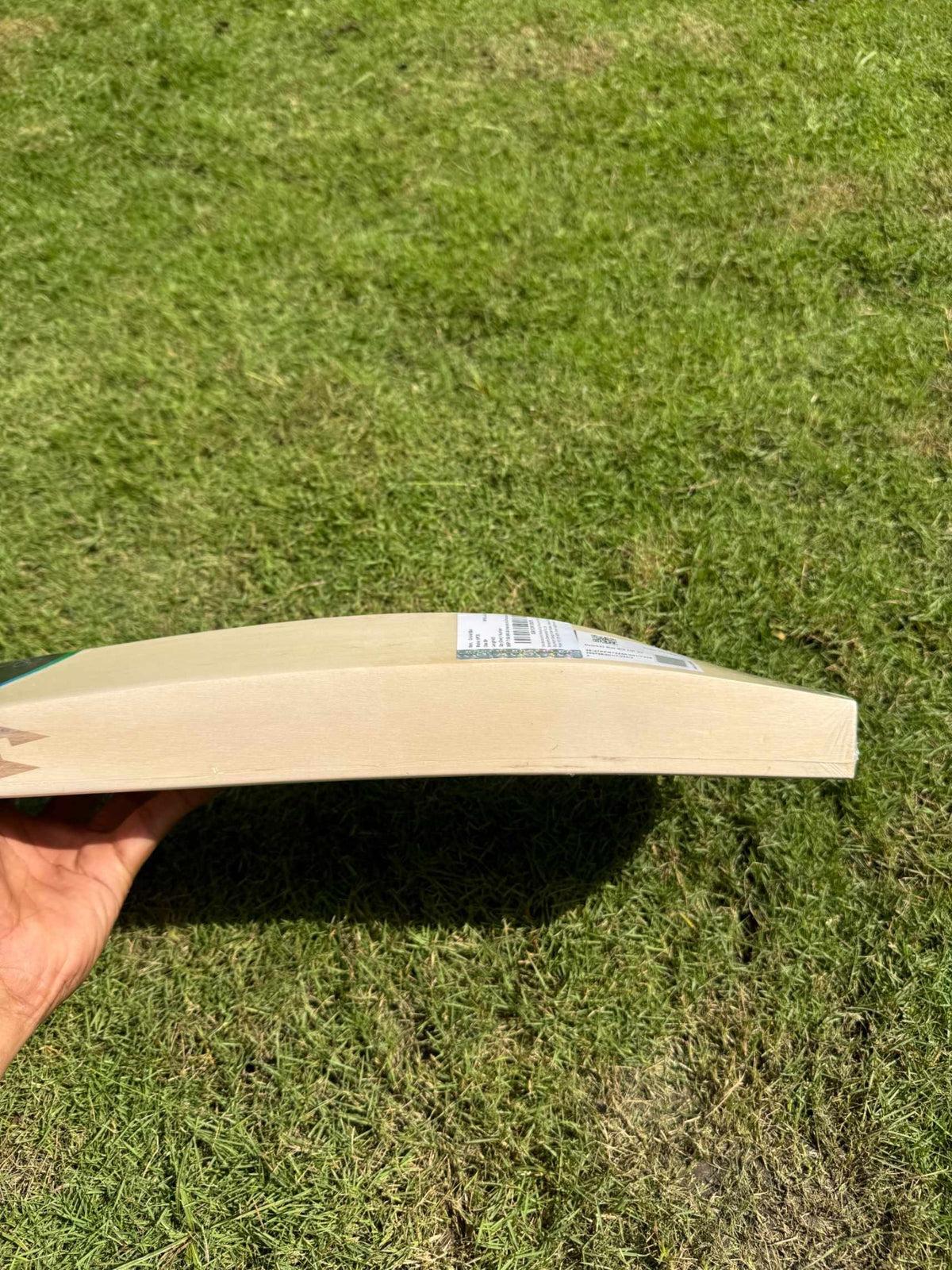 SG HP 33 cricket bat view 4