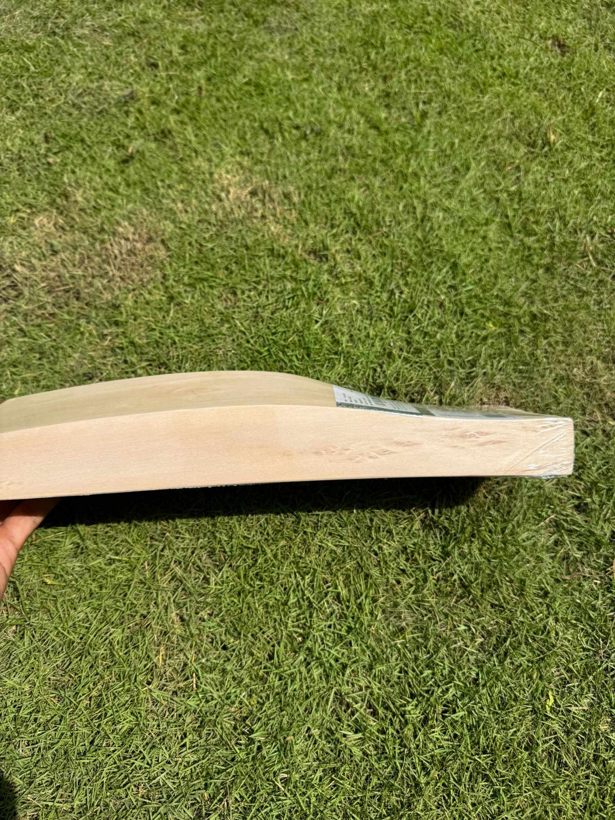 SG King of the Jungle II cricket bat view 4