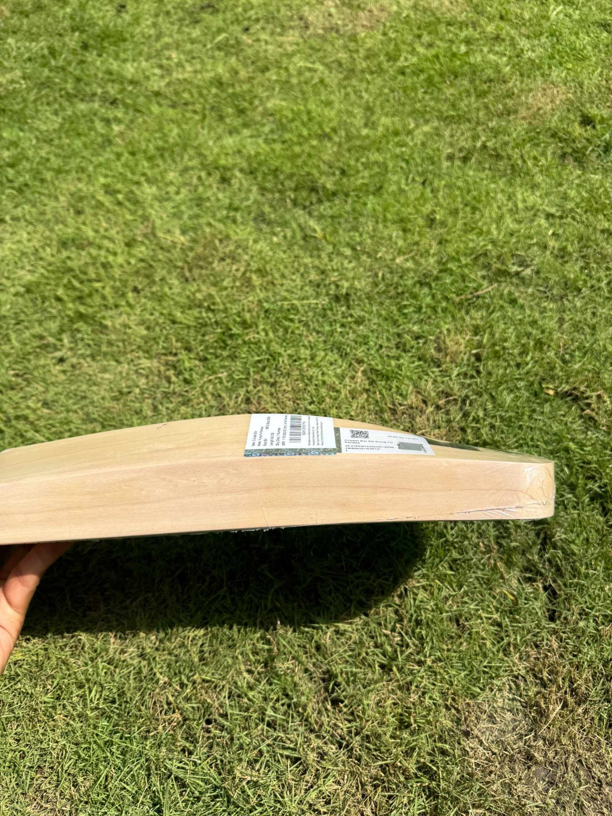 SG Kung Fu Pandya cricket bat view 6