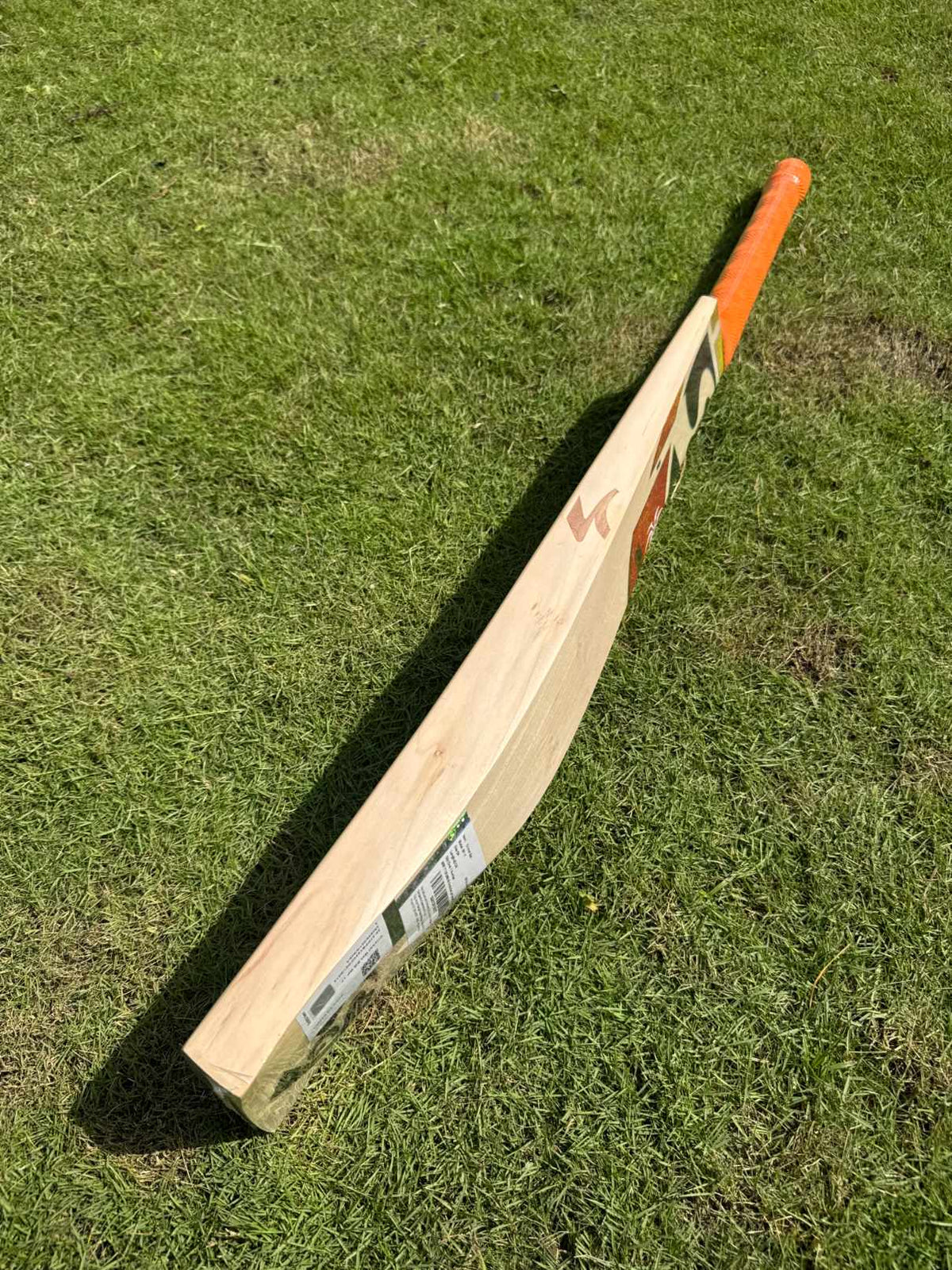 SG RP17 Player Edition cricket bat view 2