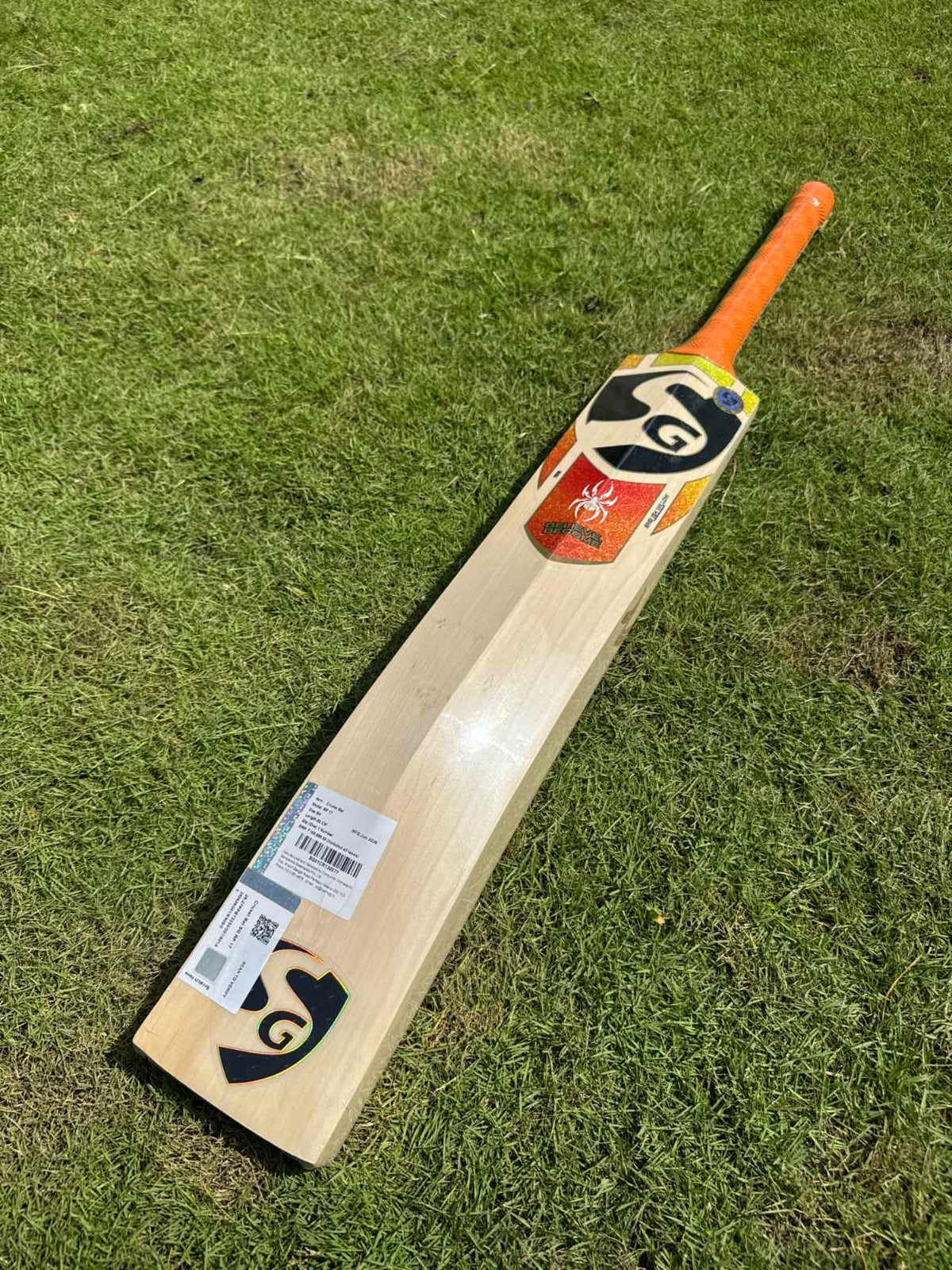 SG RP17 Player Edition cricket bat view 3