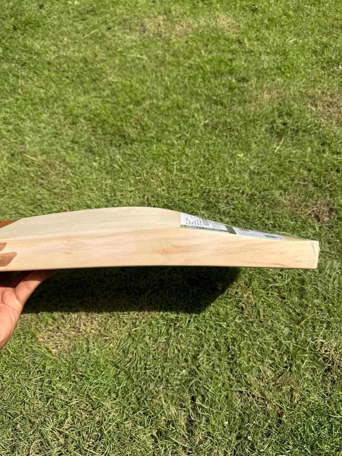 SG RP17 Player Edition cricket bat view 4