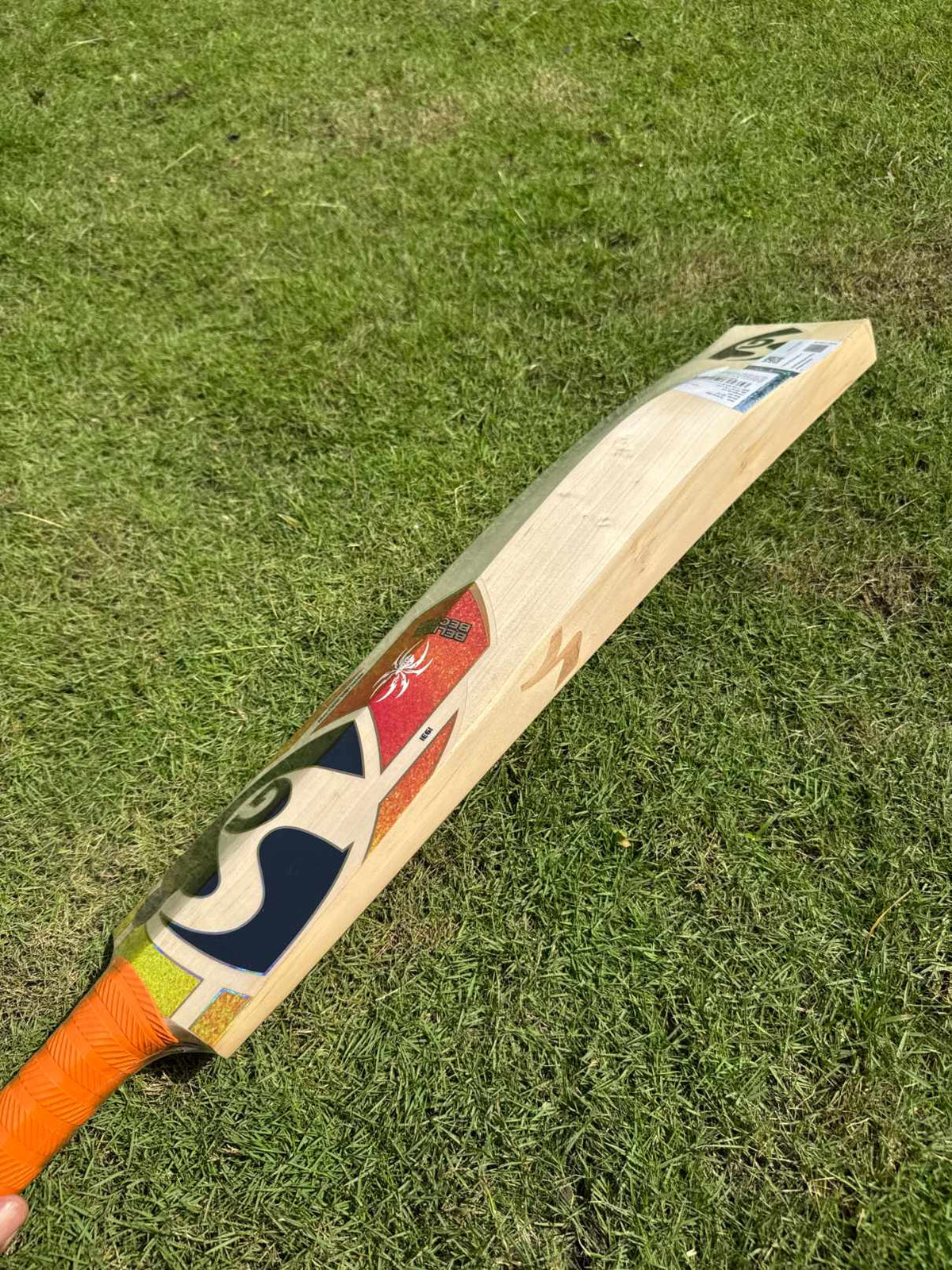 SG RP17 Player Edition cricket bat view 5