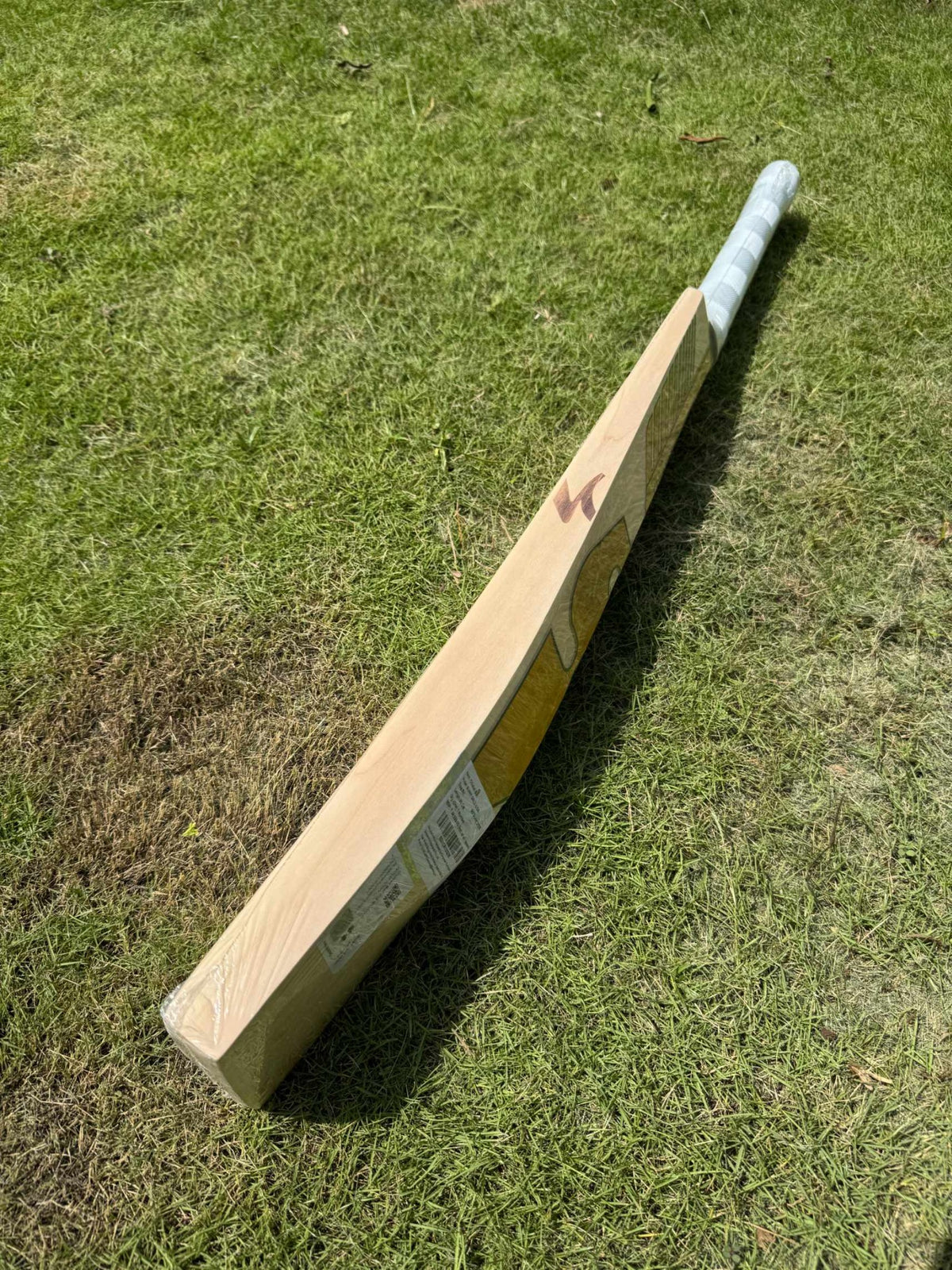 SG Sunny Gold Icon cricket bat view 2
