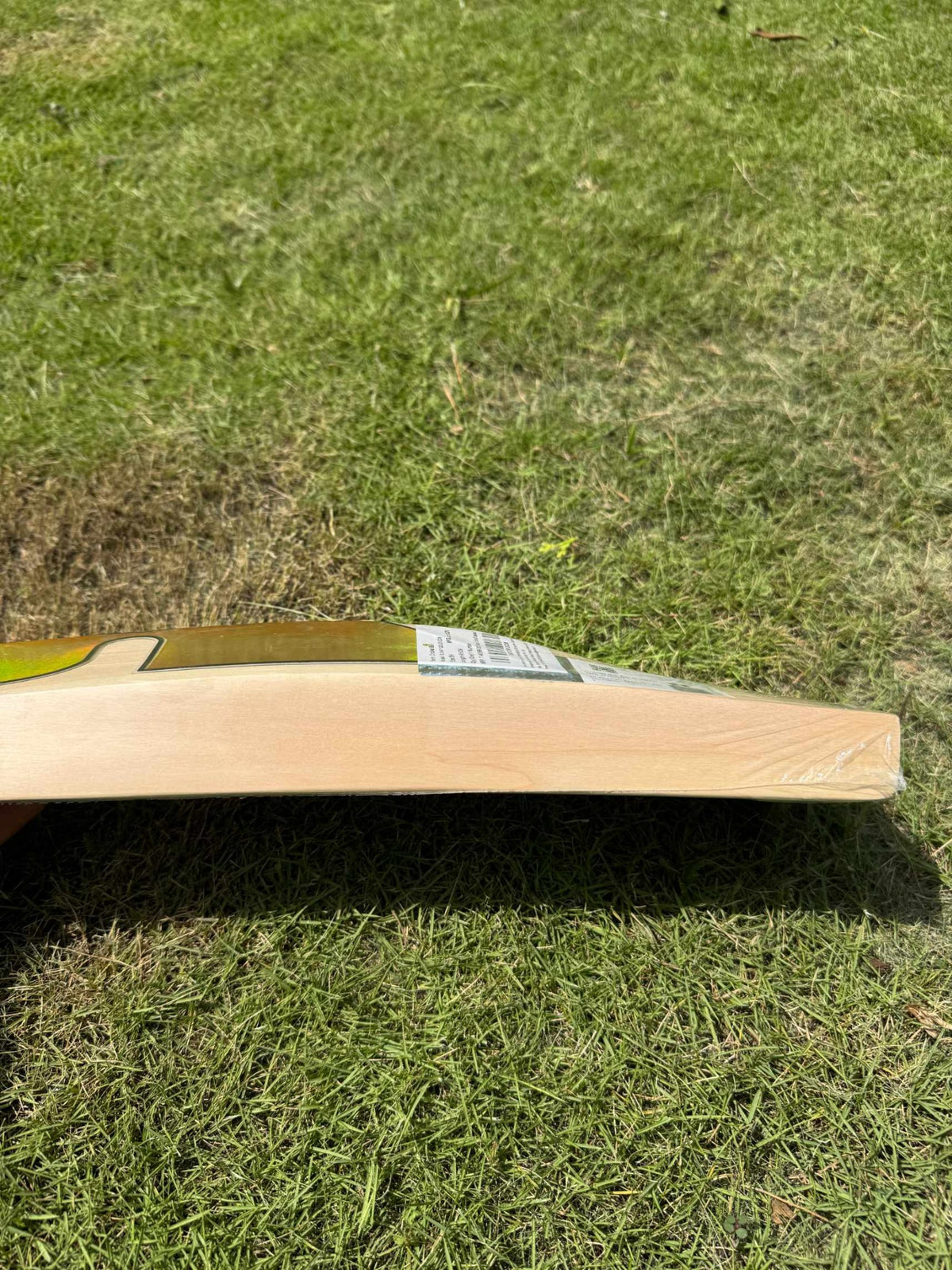 SG Sunny Gold Icon cricket bat view 6