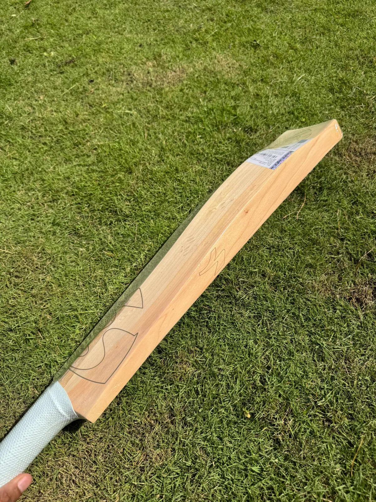 SG Sunny Gold OLE cricket bat view 7
