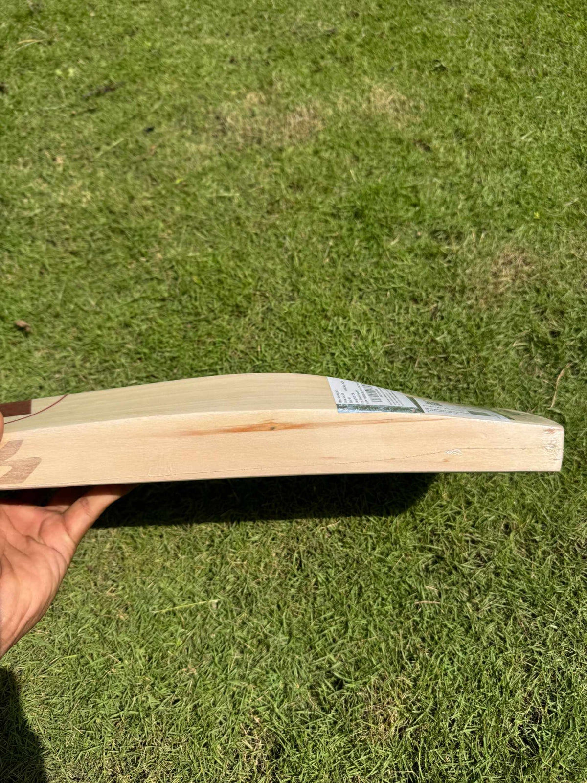 SG Sunny Tonny ARC 2.0 cricket bat – view 5