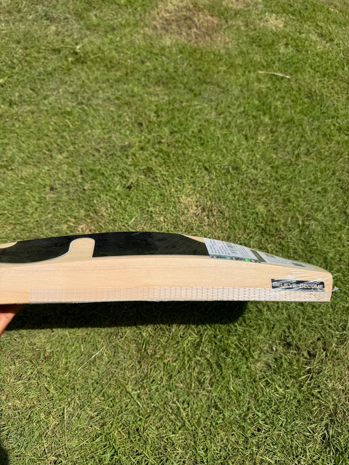 SG Sunny Tonny Icon cricket bat view 4