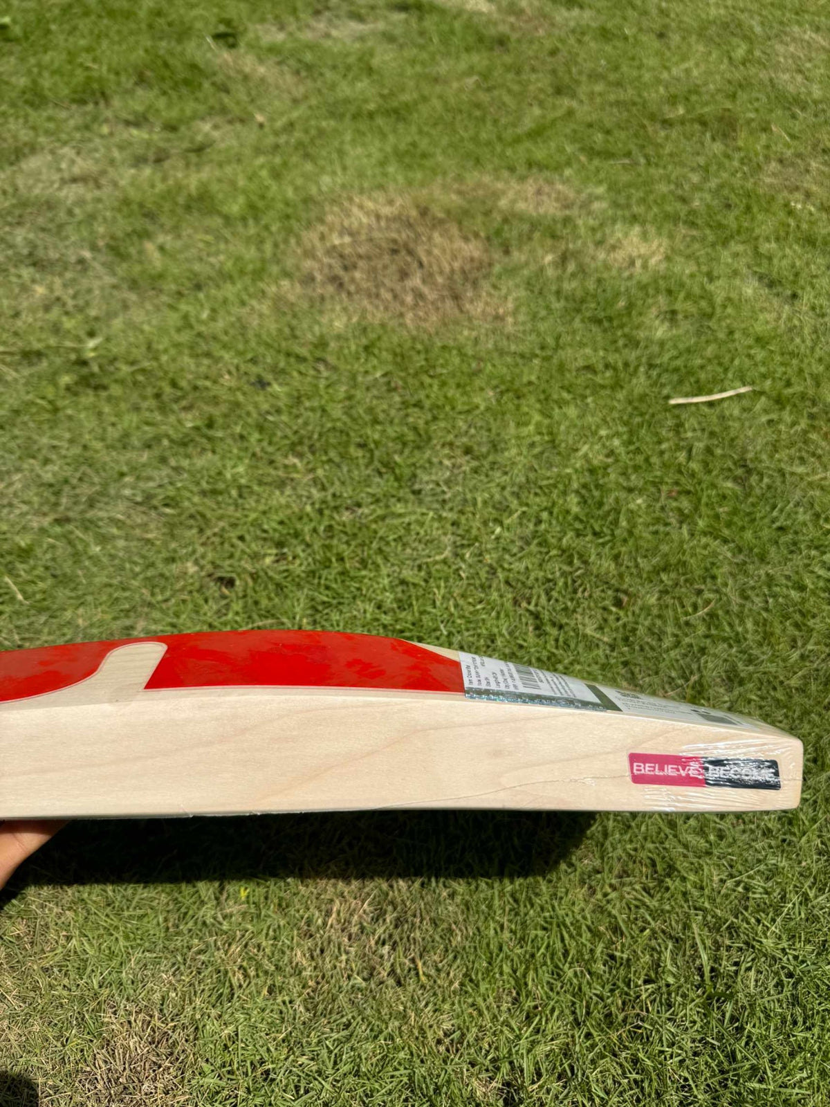 SG Sunny Tonny Xtreme cricket bat view 5