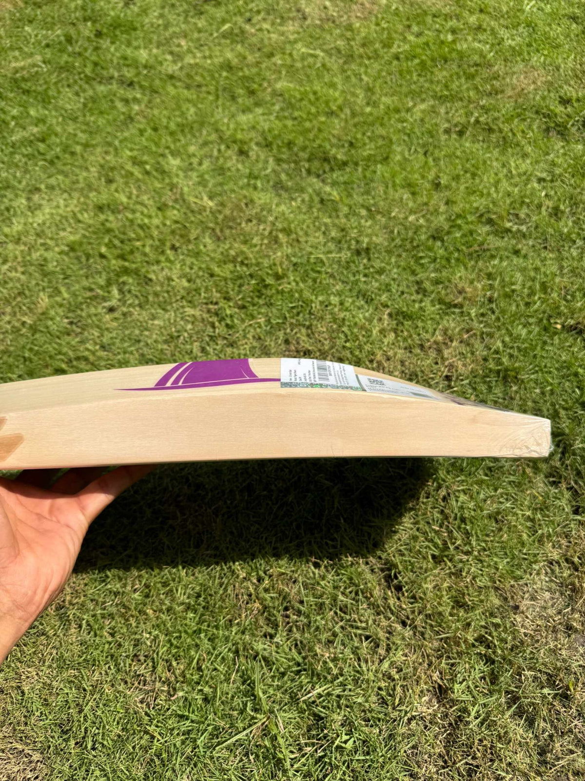SG Tiger Shark cricket bat view 4