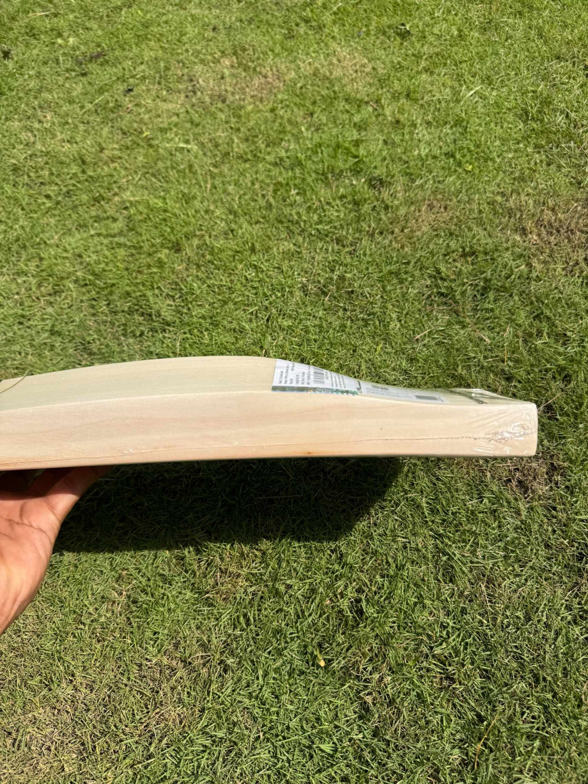 SG Triple Crown ARC 1.0 cricket bat – view 4
