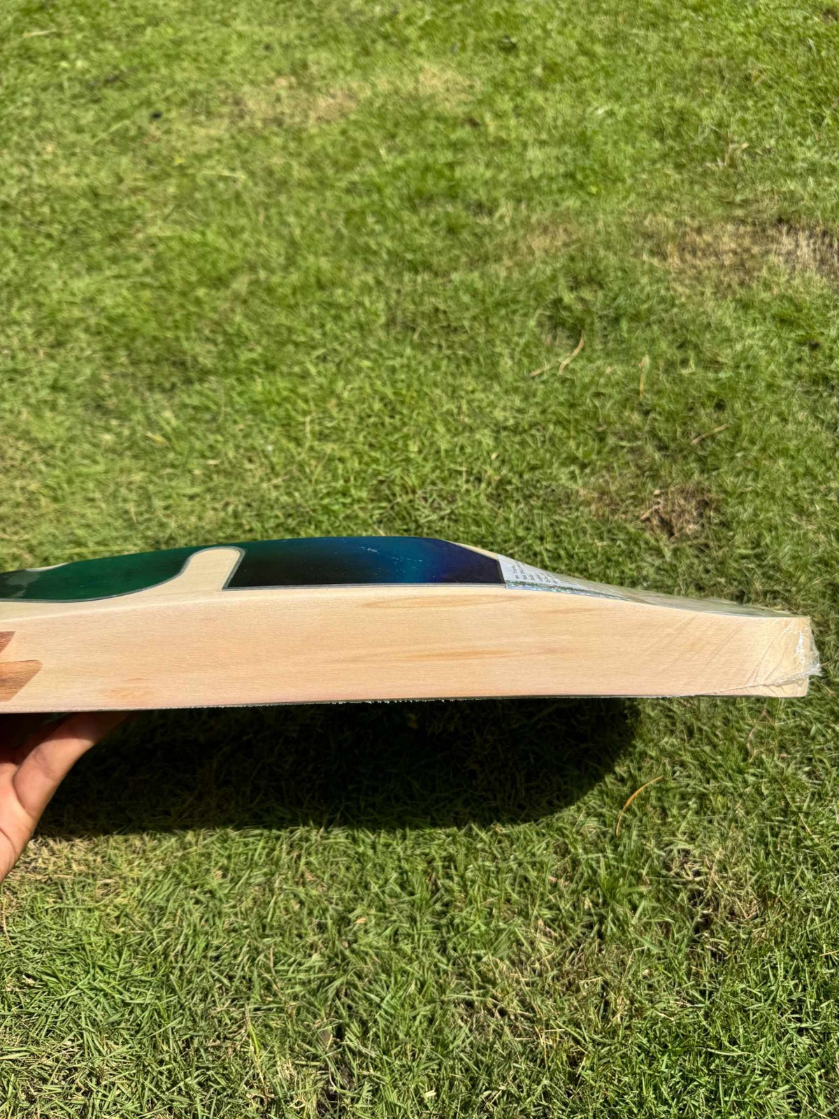 SG Triple Crown Ultimate cricket bat view 6