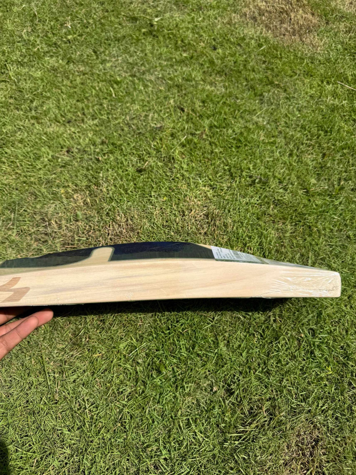 SG Triple Crown Xtreme cricket bat view 6
