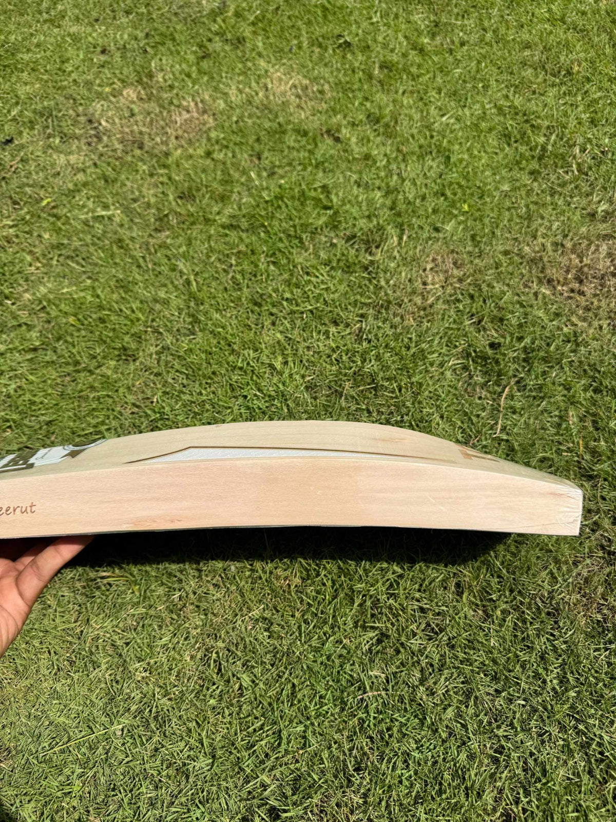 SS Legends Ganguly cricket bat – view 6