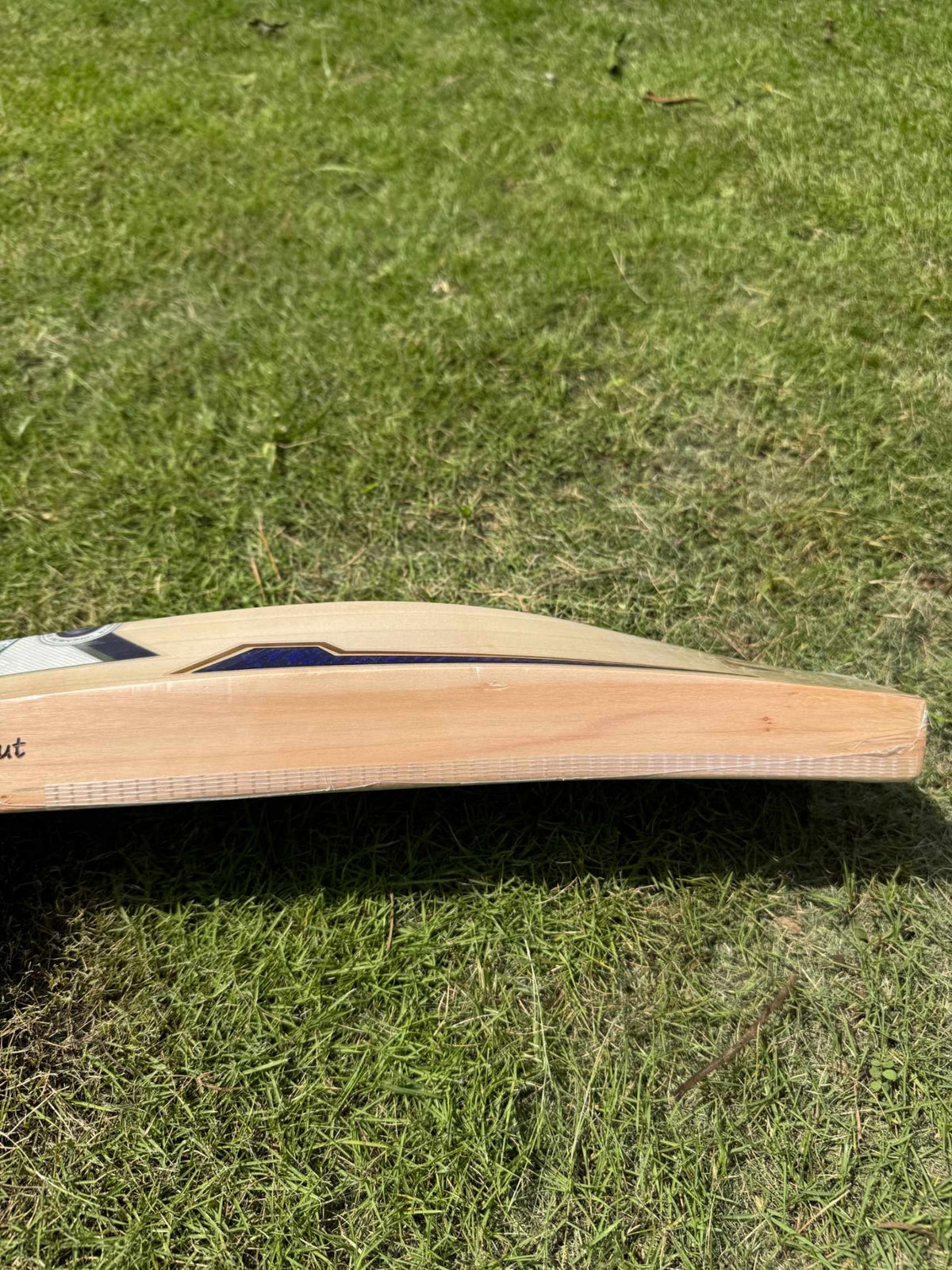 SS Sky fire cricket bat view 5