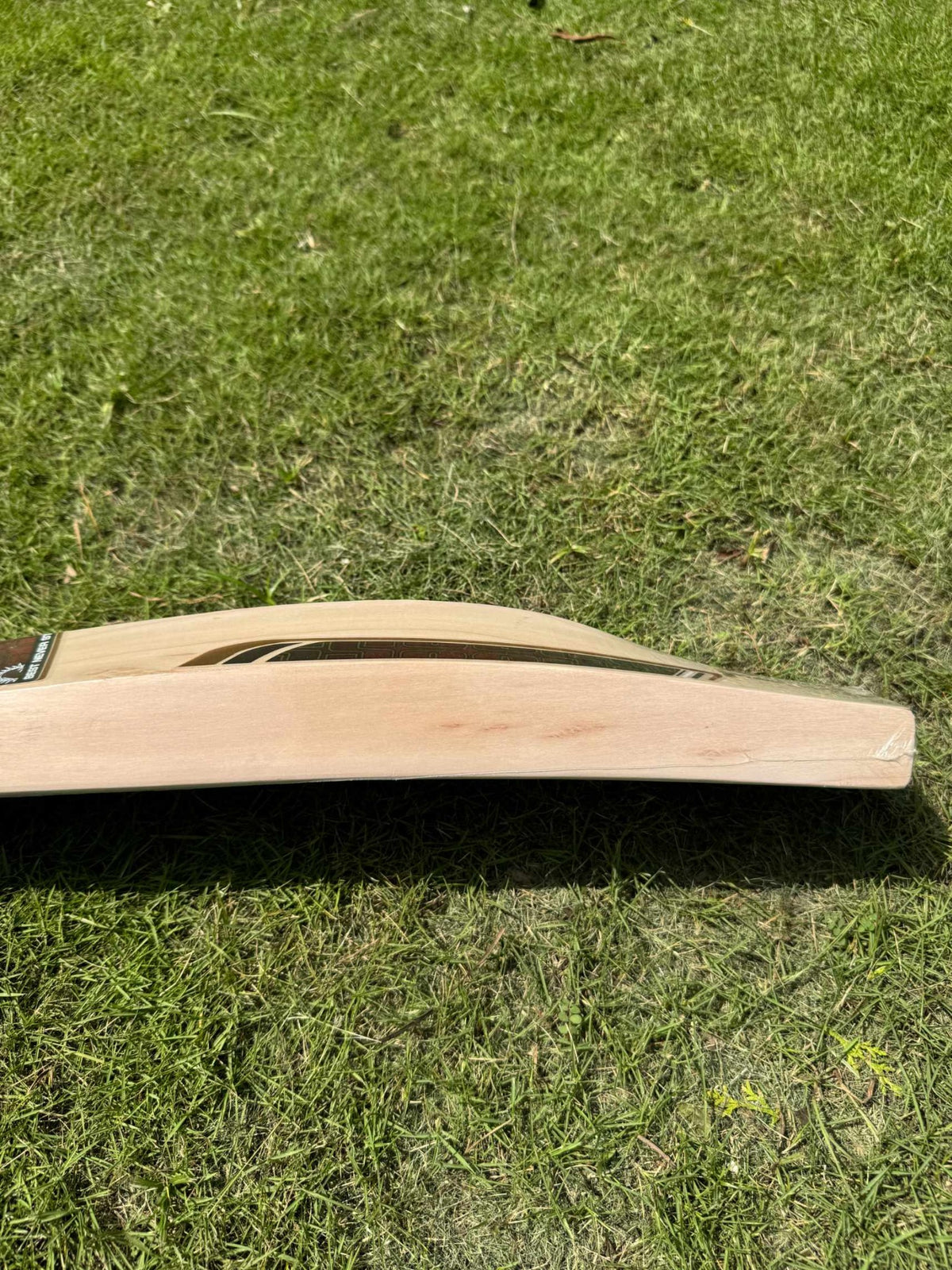 SS Vaibhav Attack cricket bat view 5